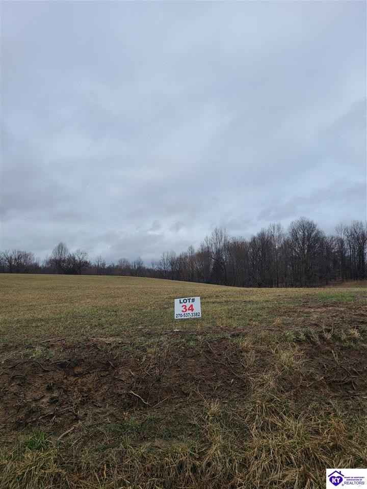Lot 34 Twin Cvs Rd  