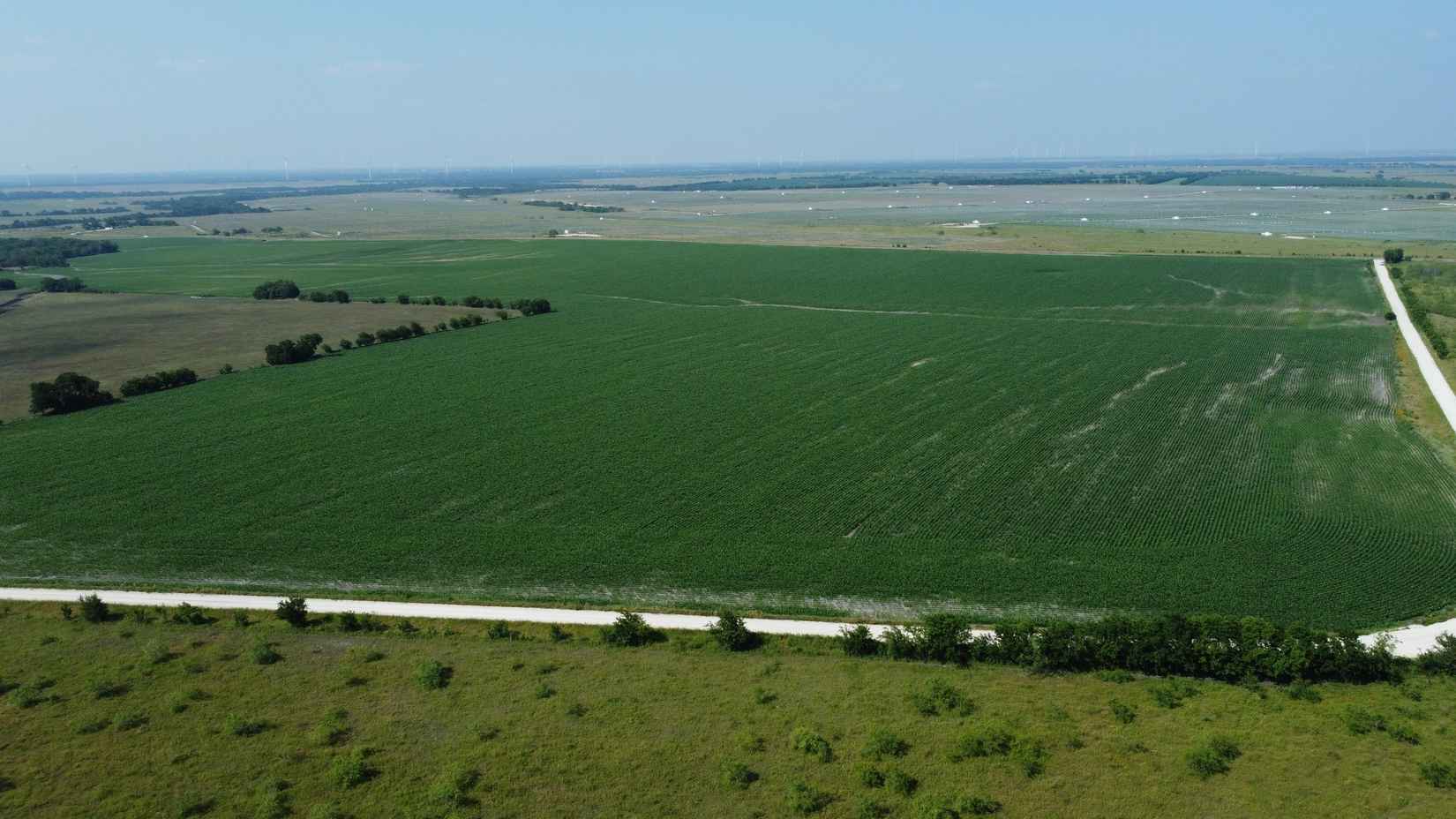 TBD Farm-To-Market 339  