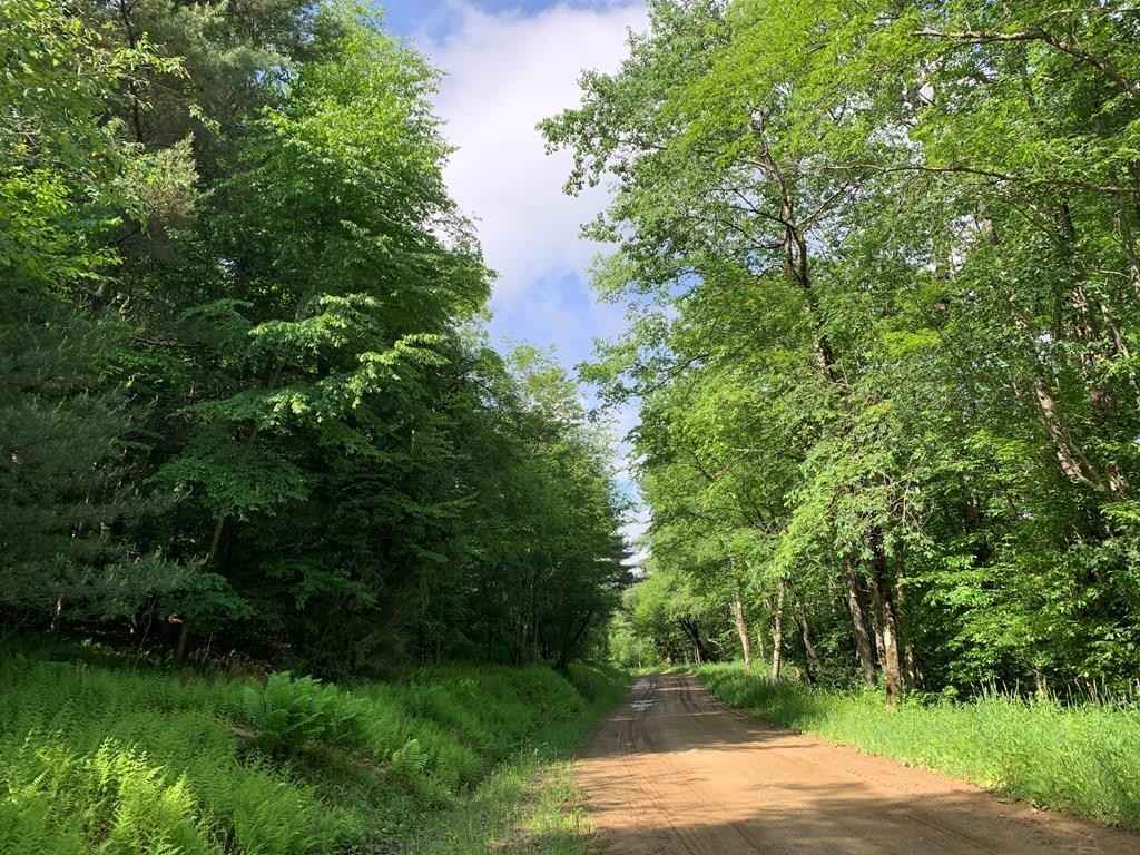 Lot 1 Back rd  
