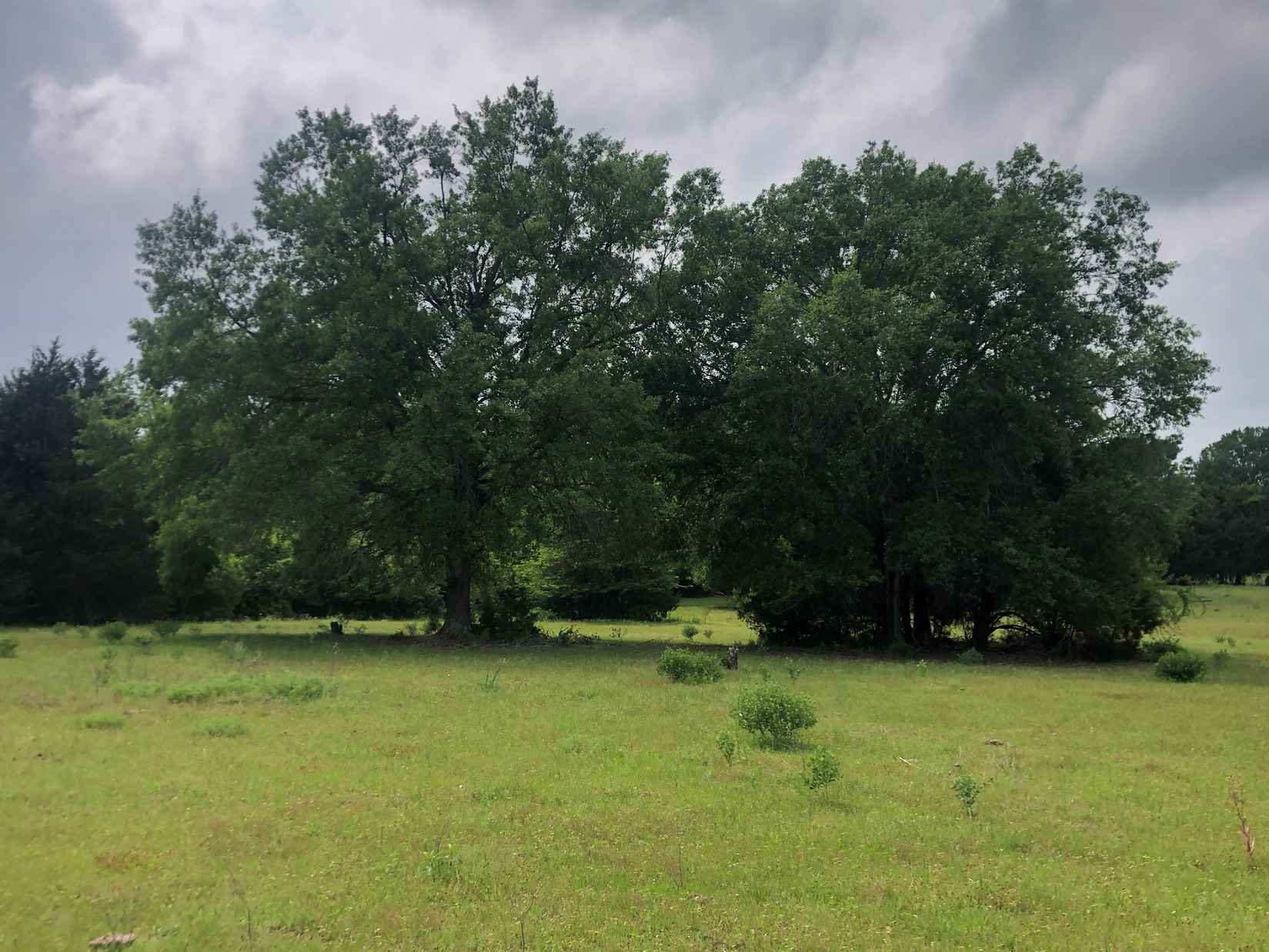289 County Rd 261  