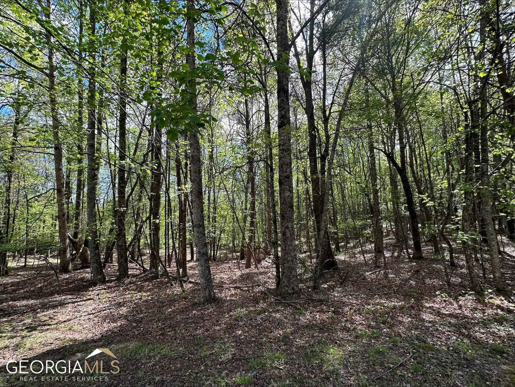 005 066 Thistle Dr  