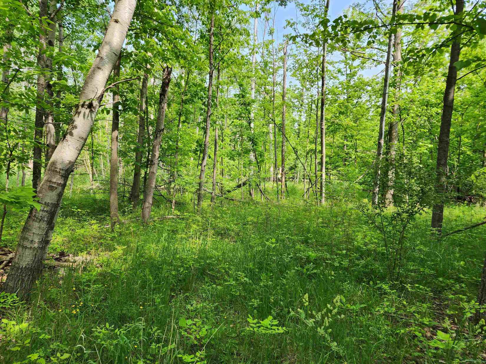 Lot 371 Linksview  