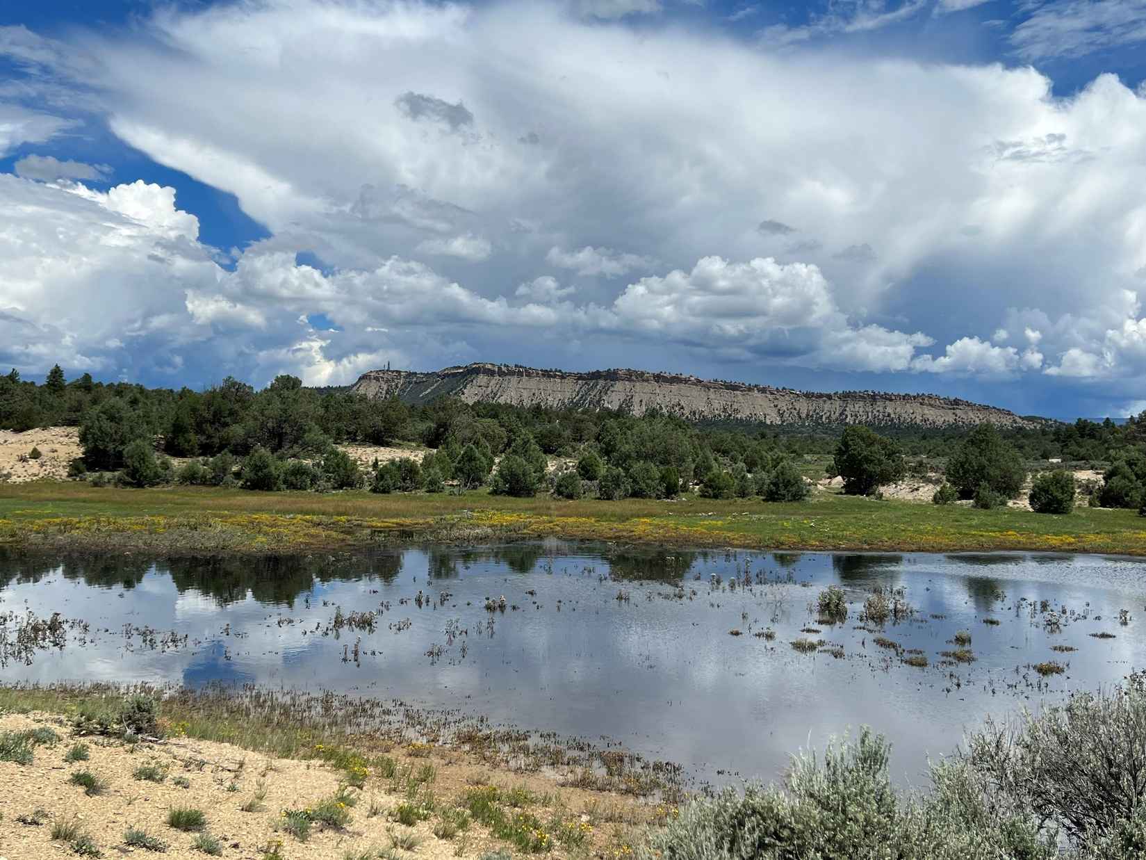 New Mexico 162  