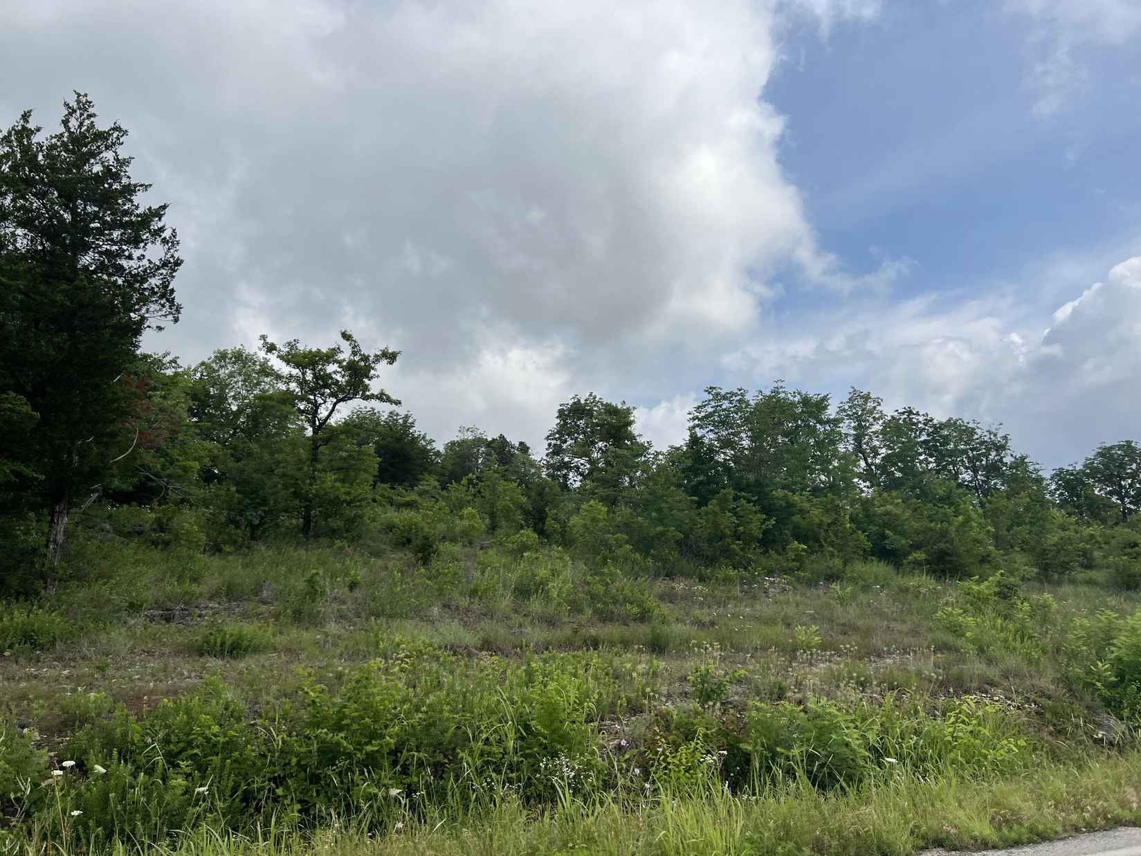 9 Acres M/L on AR-7  