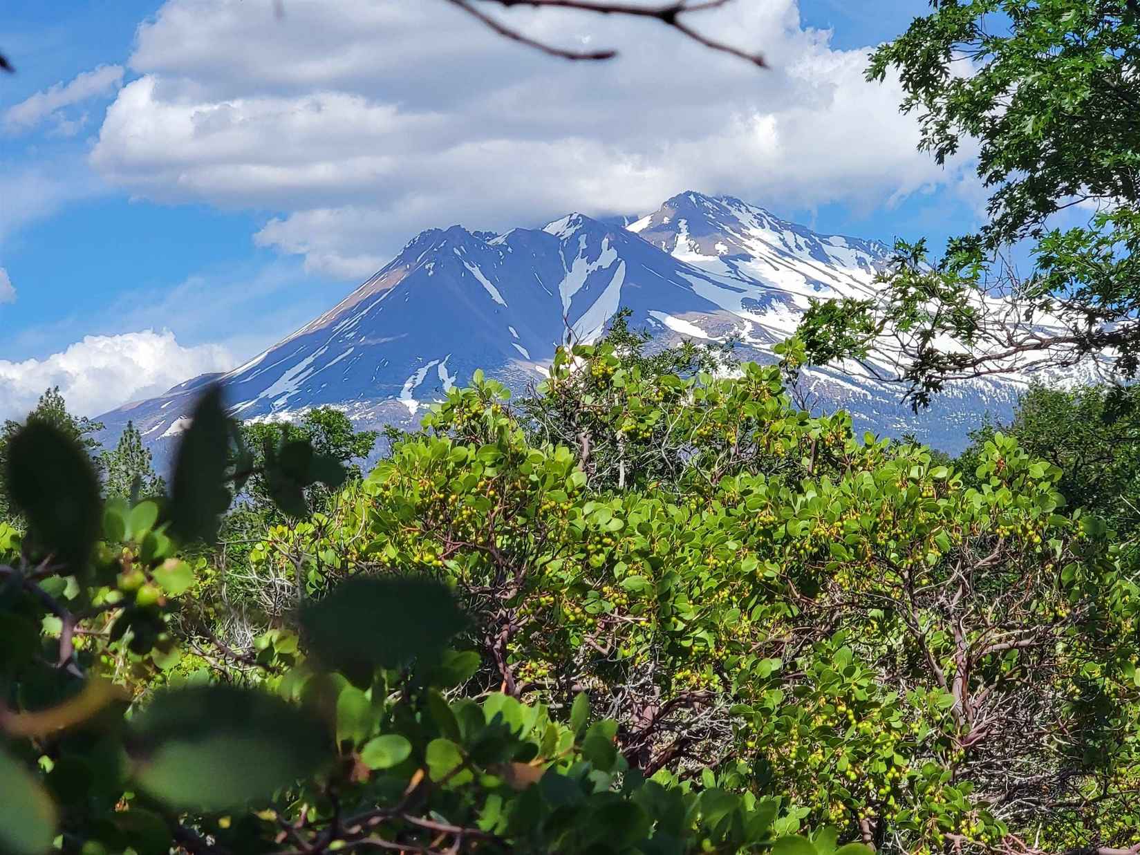 lots 10 11 College Ave  