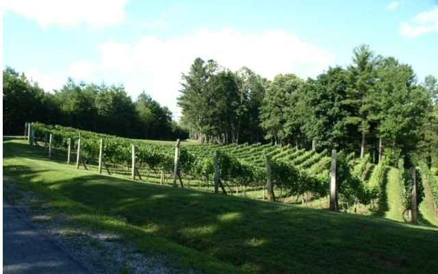 Lt21a Vineyard Creek Way  