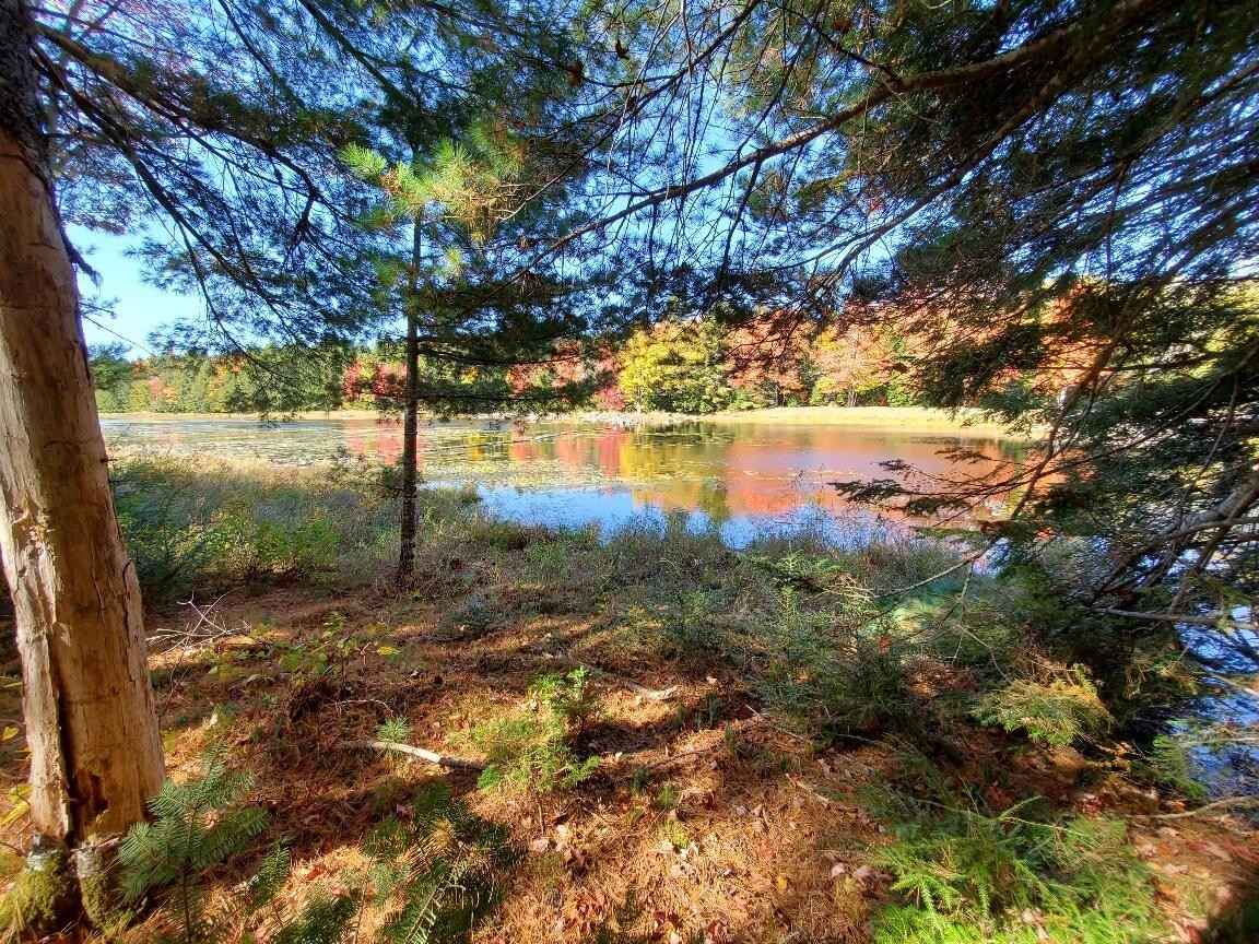 0 Clifford Lk Rd  