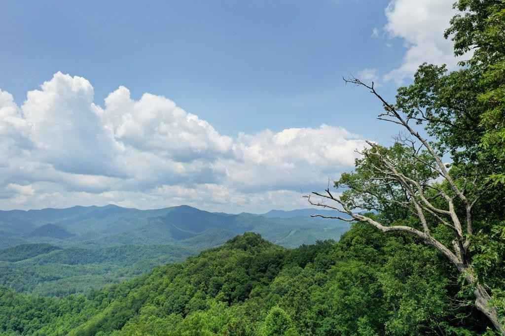 Lot 48 Black Mtn Rd  