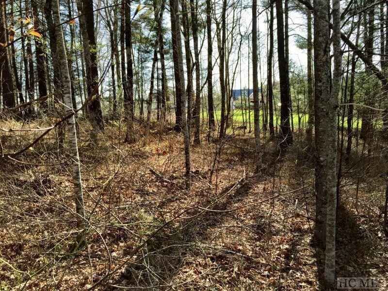 Lot 37 Lilium Ln  