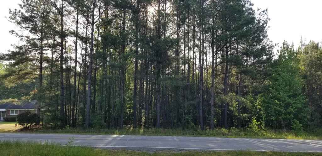 0 Hwy 261 Kings Hwy North  