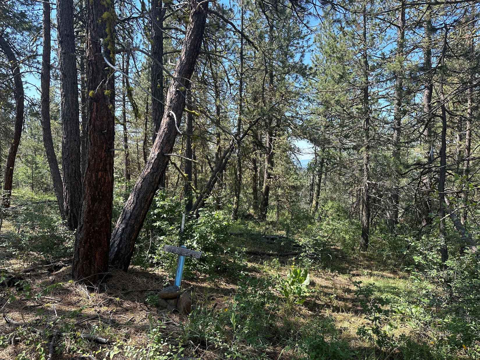 Lot 38 Sandpiper Dr  