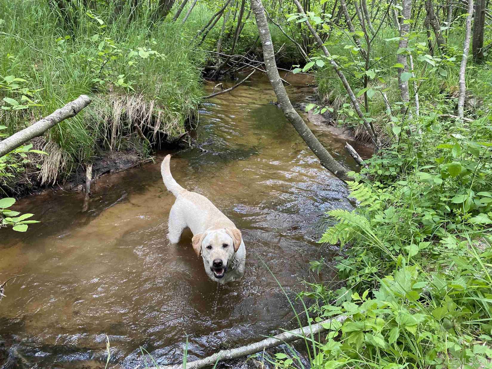160 AC Off of Alder Crk Truck  
