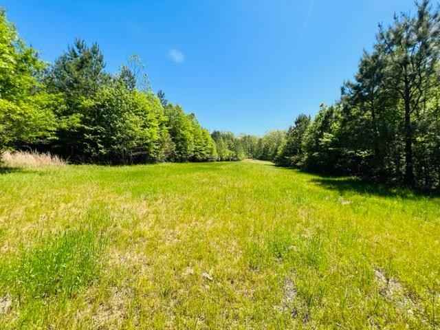 000 Lebanon Pine Grv Rd  