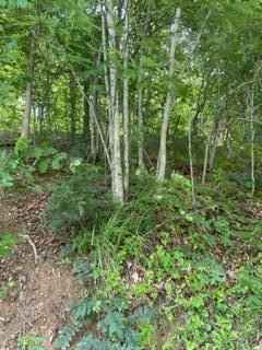 1 Gibson Frk Rd  