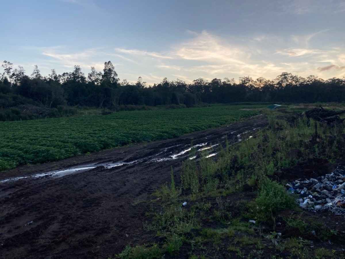18-3931 KOPUA RD  