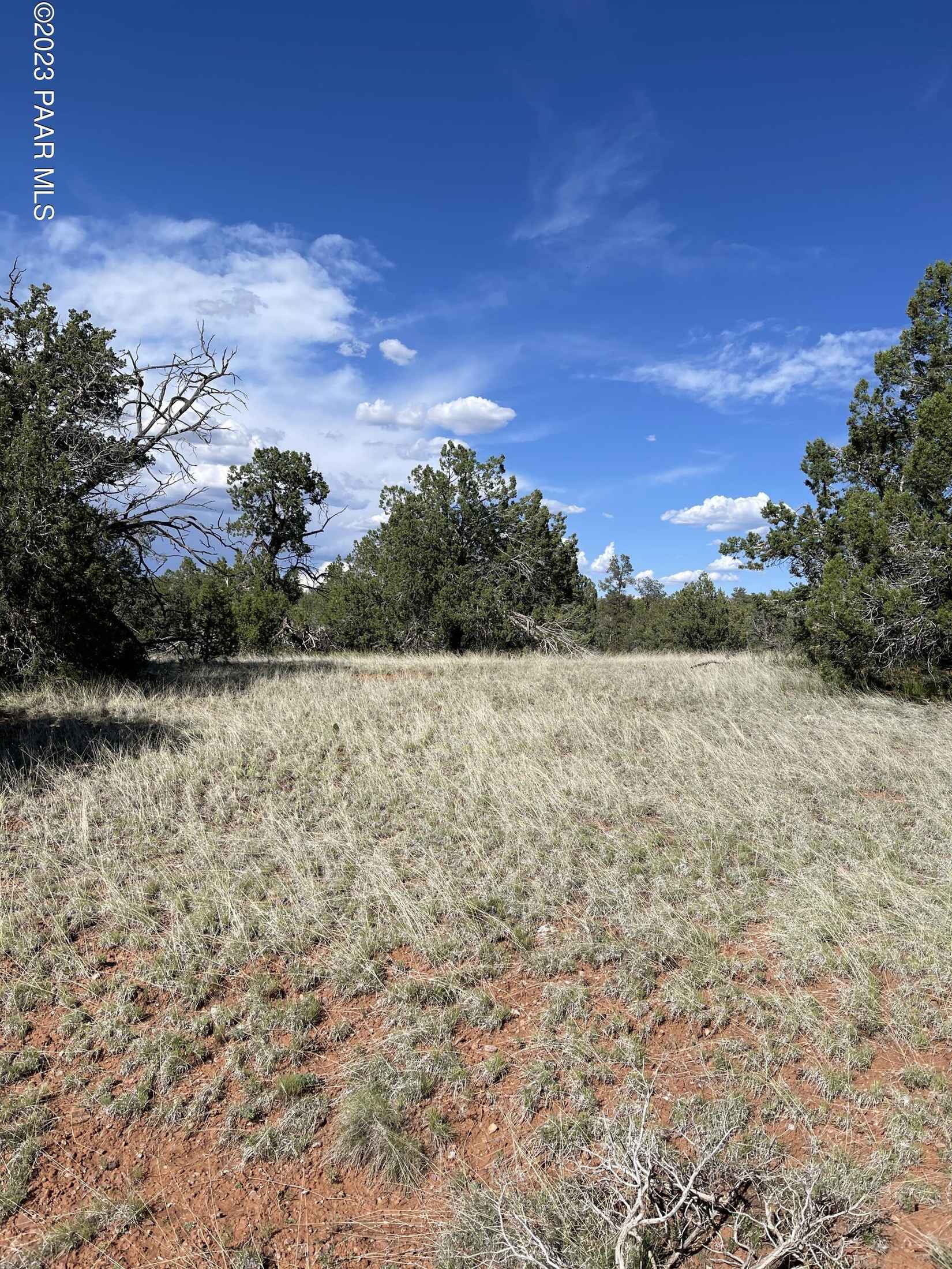 54803 N El Portal Ln  
