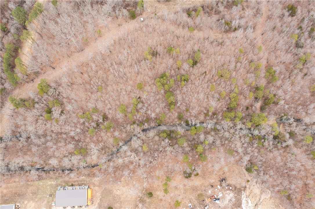 1 Cabin of North Carter Crk  