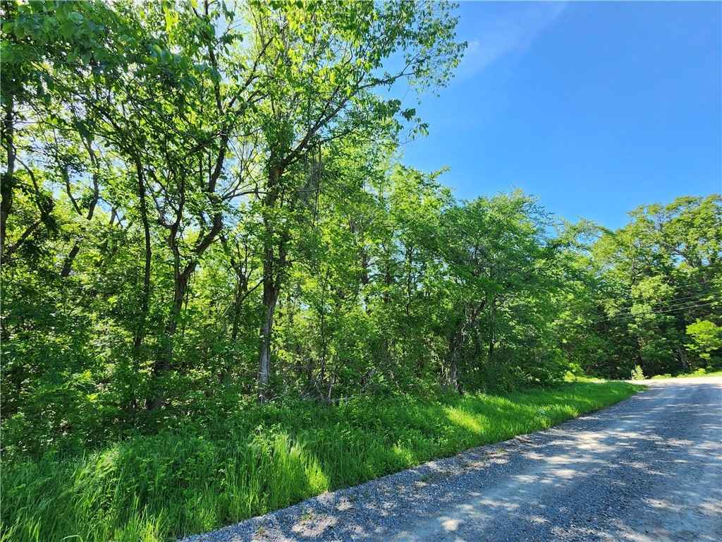 224 Pottawatamie Canadian Shr 3  