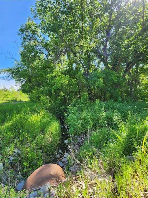 223 Pottawatamie Canadian Shr 3  