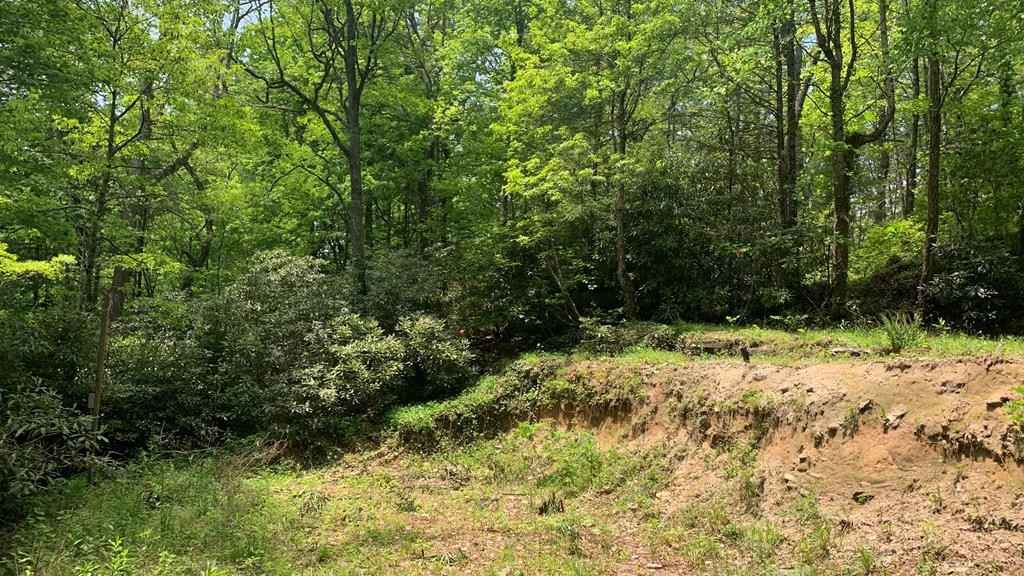 100 HICKS RD  