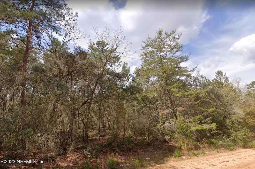 Lot 34 LOUISE Ave  