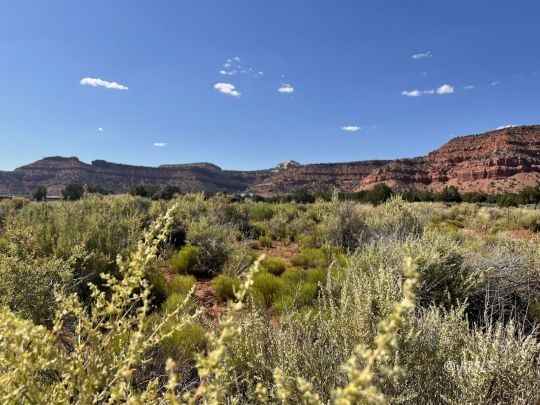 Lot 2 Boulder Blf Blvd  