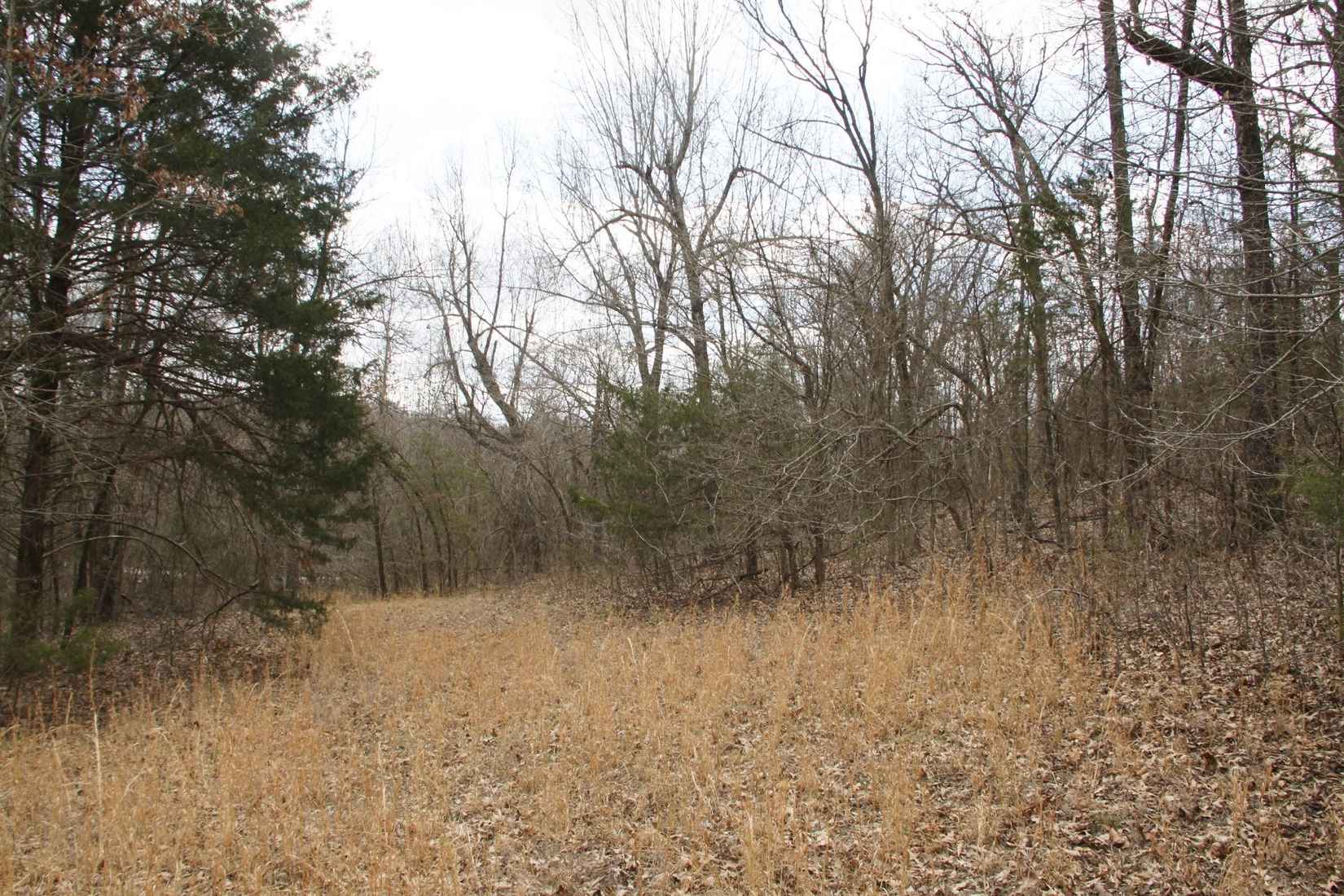 Lot 23 Dogwood Dr  