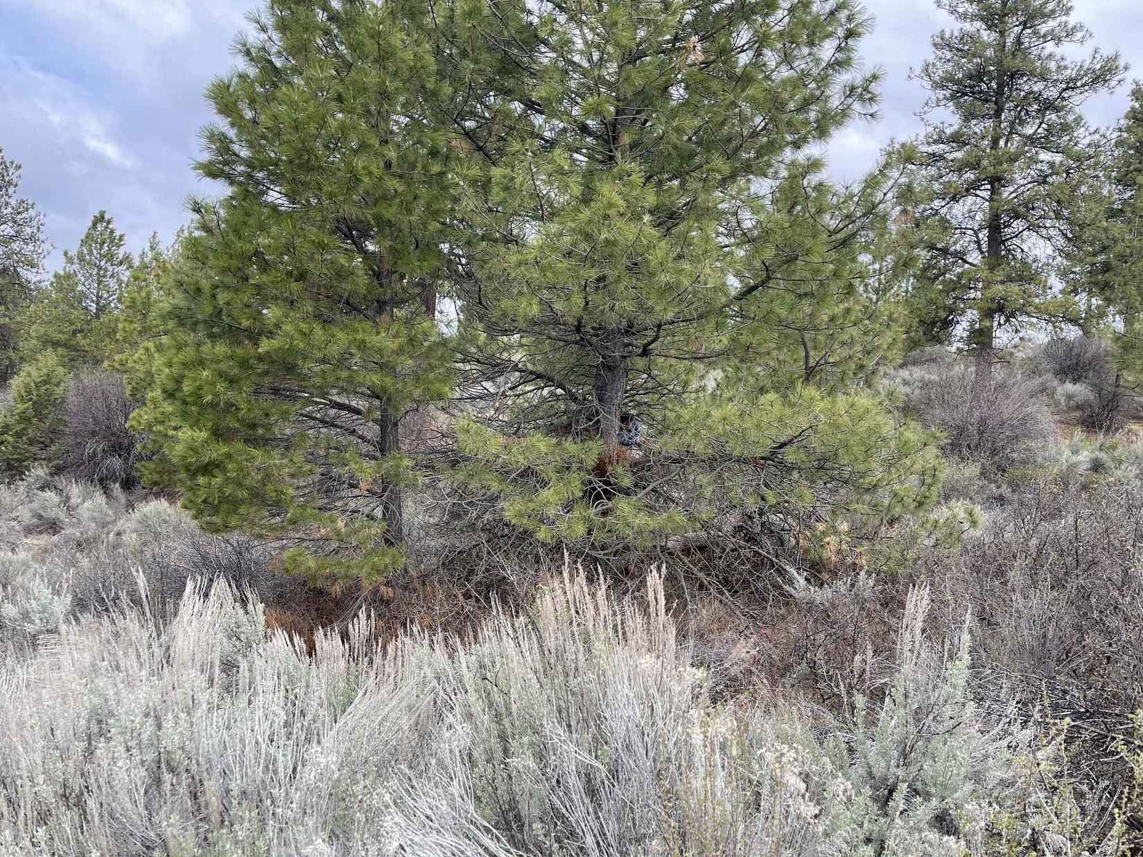 Lot 23 Legget Dr  