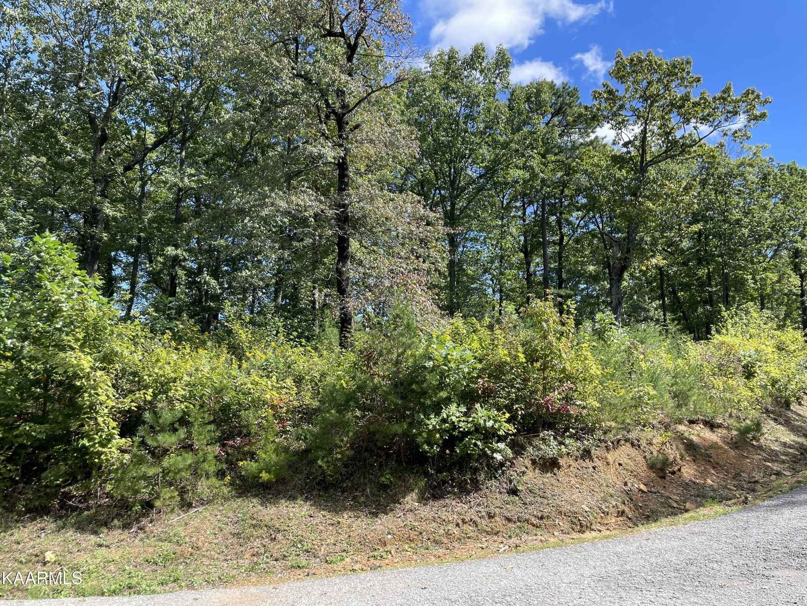 lot 52 Mt Clouds Tr  