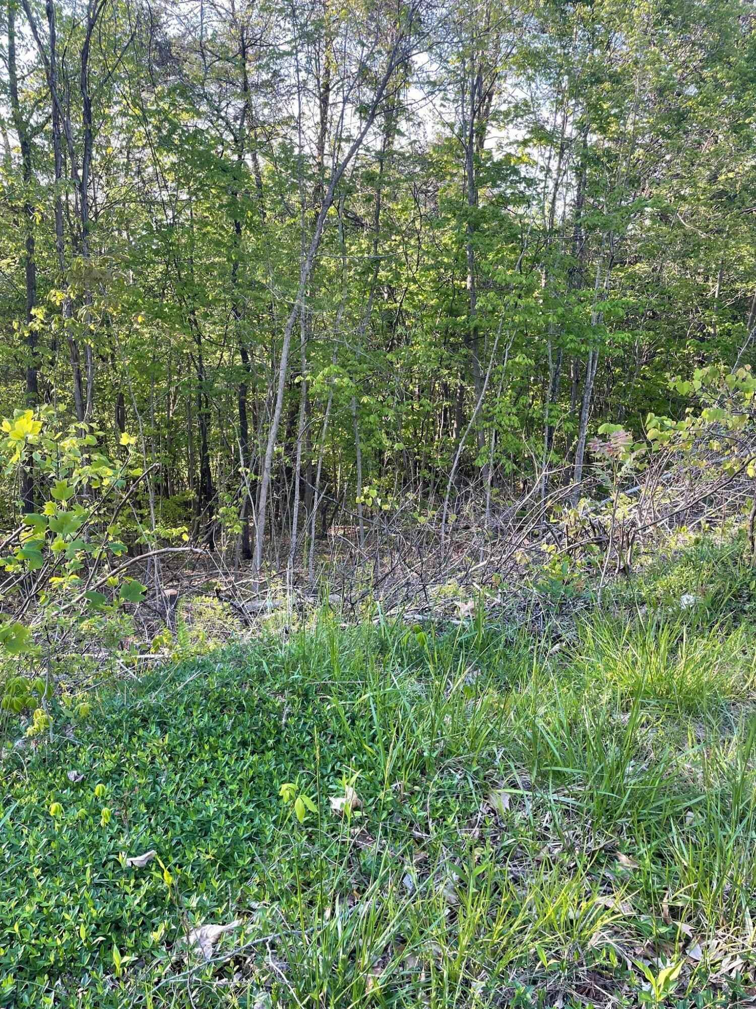 Lot 202 Woodhaven Dr  