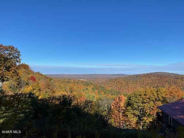 Lot 12 Little Vly Rd  