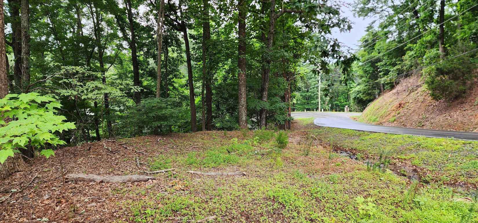 Lot 41 White Oak Mtn Rd  