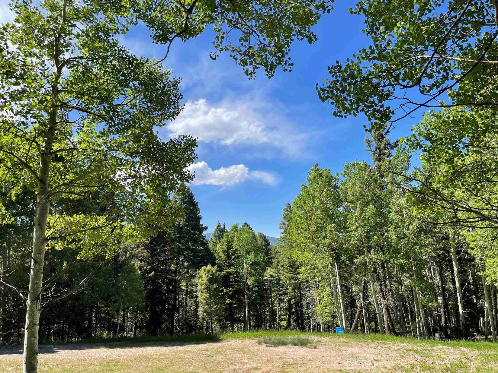 Lot 399 Iseleta Dr  