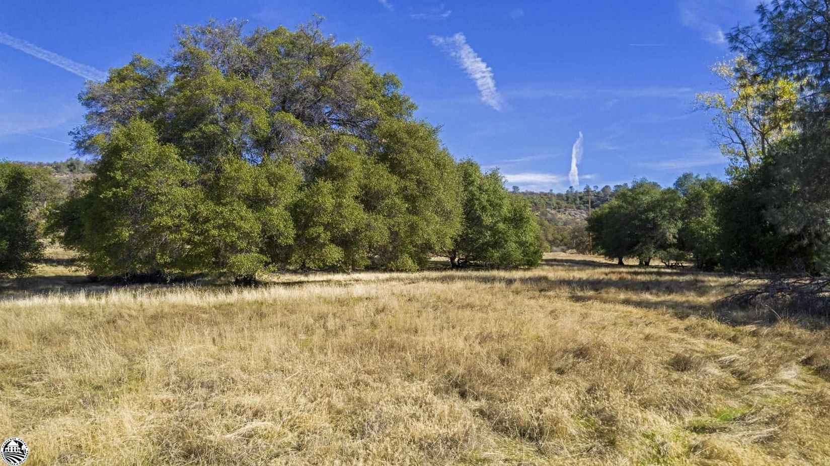 16275 Moccasin Ranch Parcel 29  