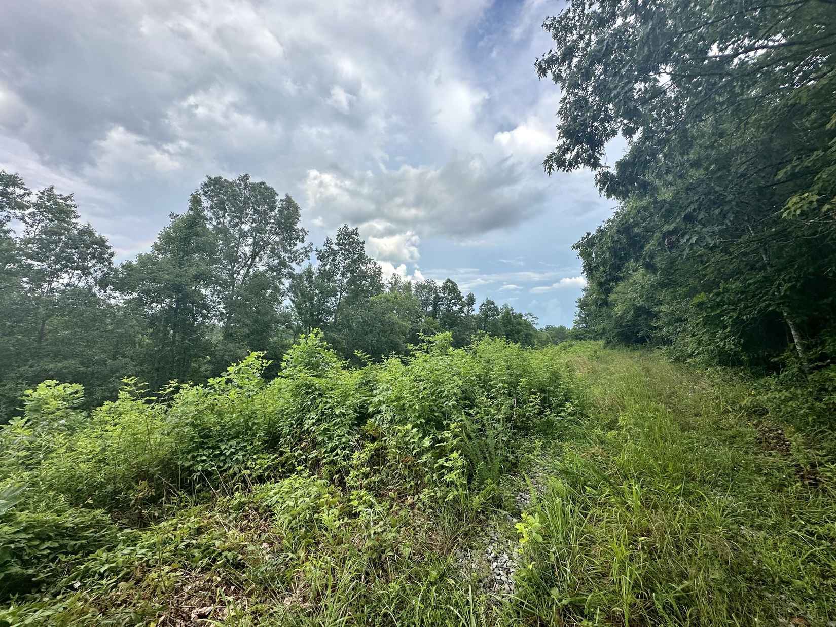Tract Unit 12 Cabinwood FLTS  