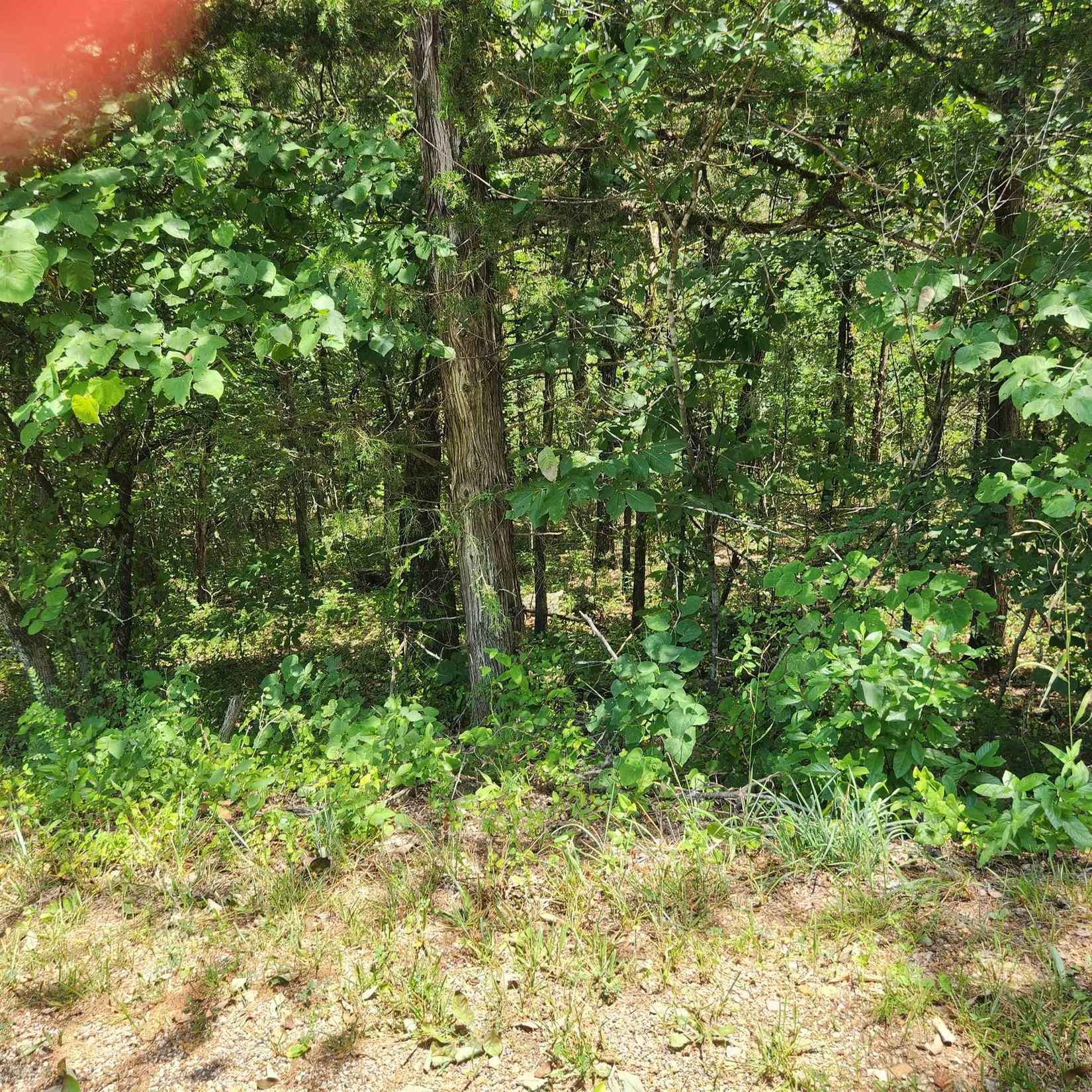 L-25 B-13A Altakima Trce  