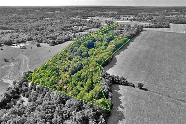 36401 E Bynum Spur Rd E  