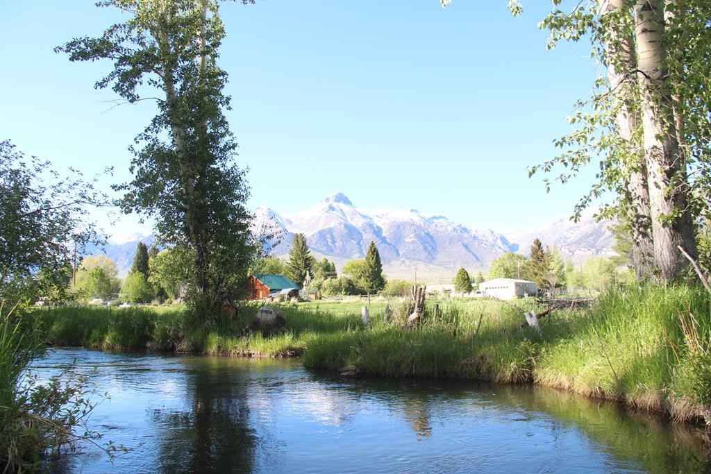 803/805 W College Ave  