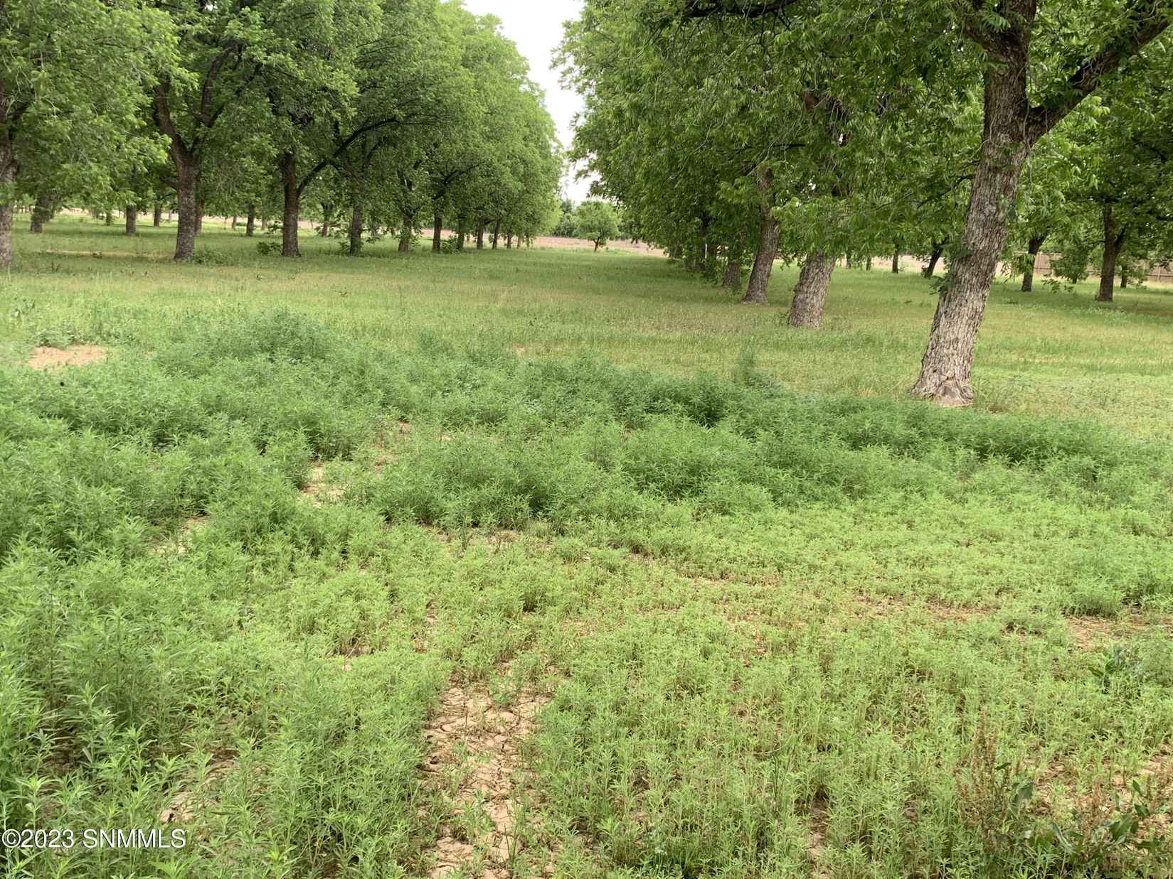6388 Hwy 478  