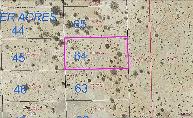 0 0 Cheyenne Englestad  