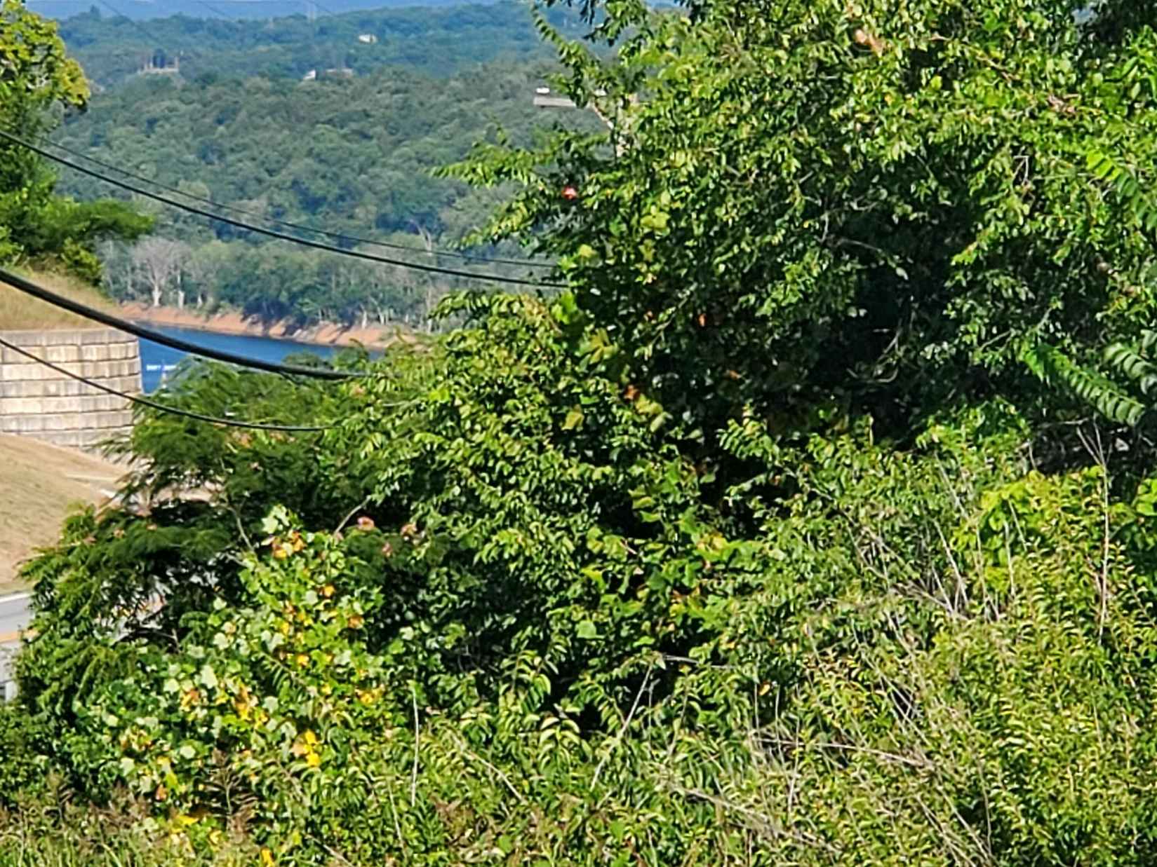 16500 State Hwy 160 Hwy  