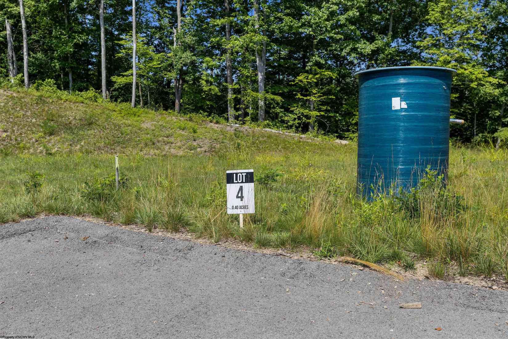 Lot 4 Owlcrest Ct  