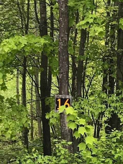 Lot 16 Stevens Lndg Rd  