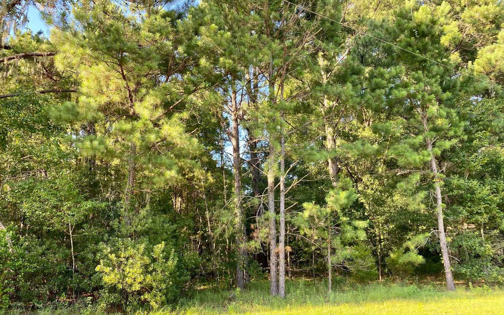 LOT26 NW 36TH Trl  