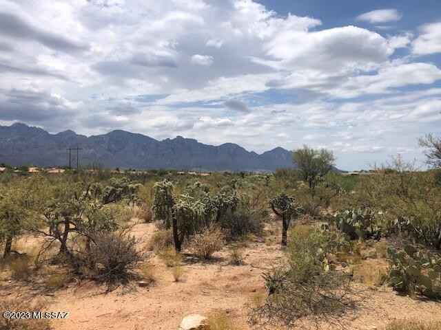 14732 N Quiet Rain Dr  