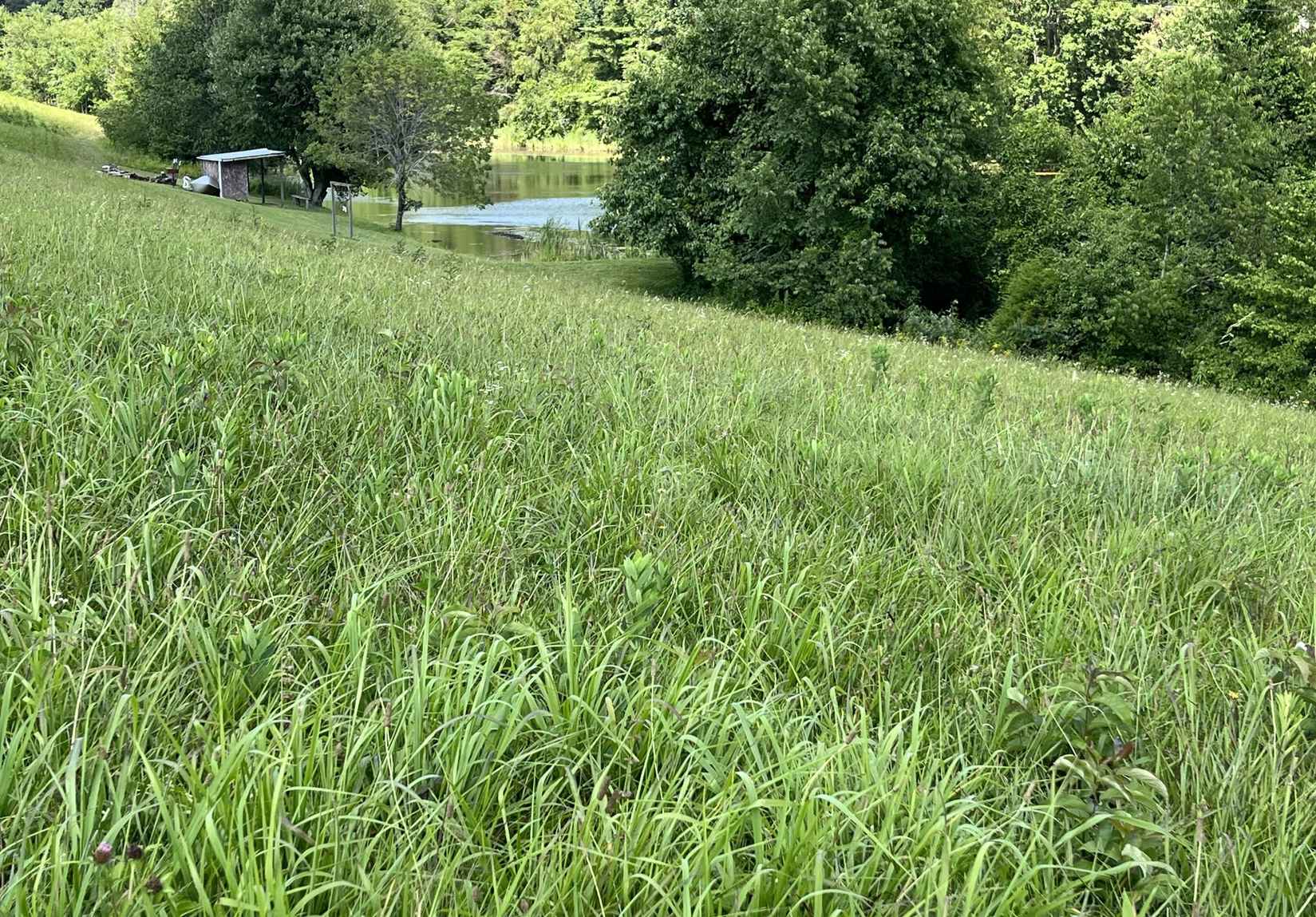 Lot 7 Ditney Meadows Fox Den Rd  