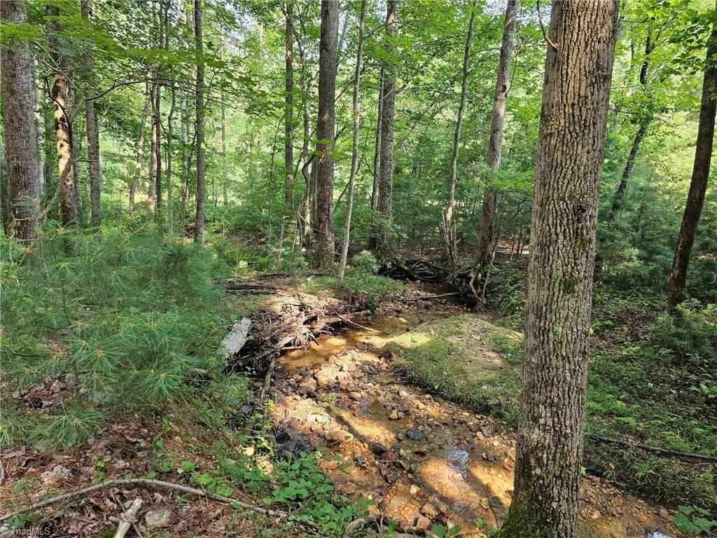 Lot 82 Mcintosh Dr  