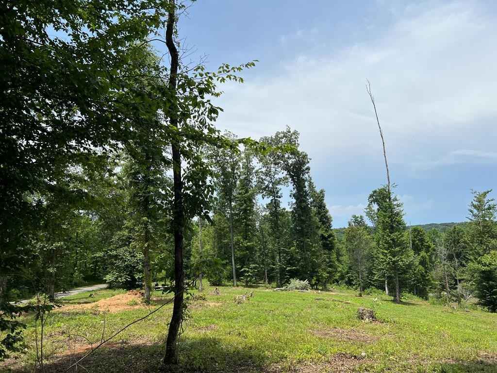 0000 Bartlett Rd  