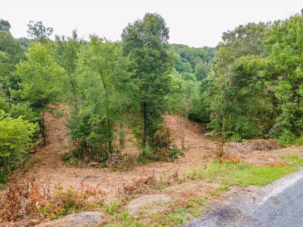 Lot 102 Stone Brg Dr  