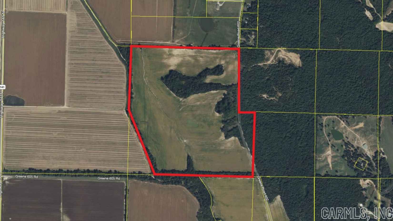 143 30 acres Greene 602  